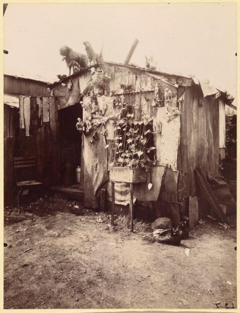 This image has an empty alt attribute; its file name is 6140b970-4cc4-4131-8596-57650dd8ff0d_785.jpg